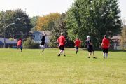 OTFL Gallery Image